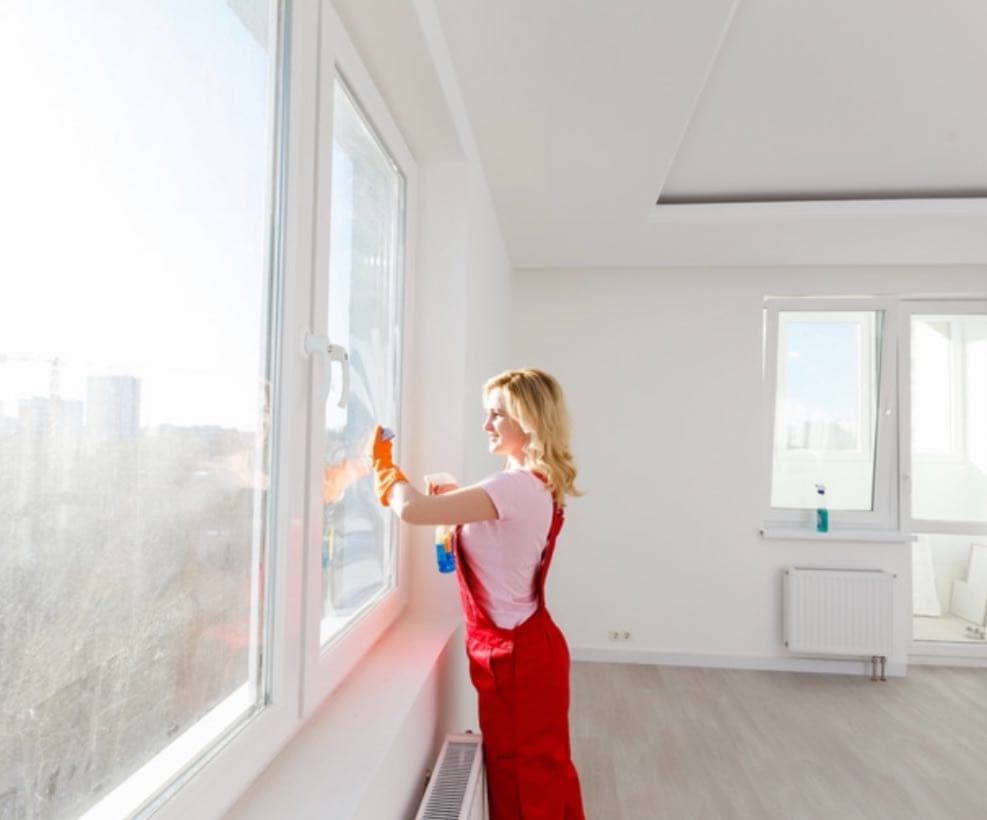 Clean Windowsills