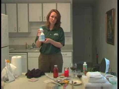 Cleaning Carpet Stains : Bleaching Carpet Stains Lynnwood
