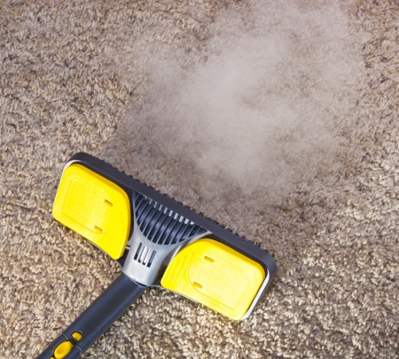 Carpet Steam Cleaning