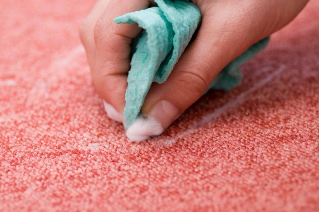 Professional Carpet Cleanin