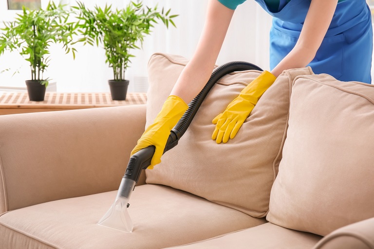 Carpet And Upholstery Cleaning Service