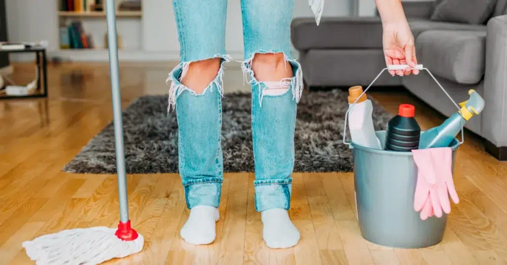 Woman Holding Cleaning Equipment At Home