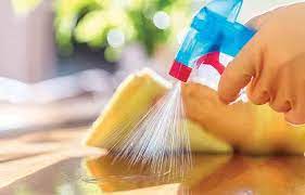 Professional House Cleaning In Seattle