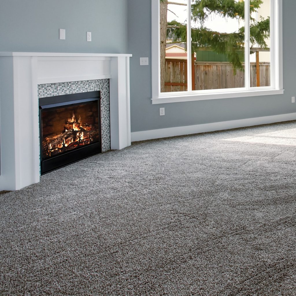 Carpet Cleaning Service In Seattle