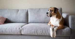 Best Professional Deep Cleaning Services