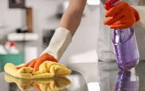 Spring Cleaning Services