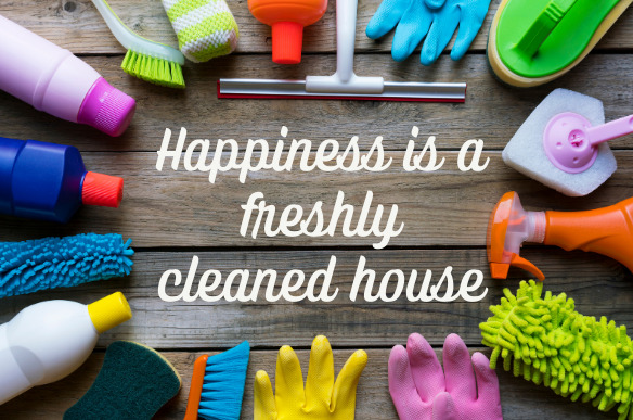 Benefits Of Hiring A Professional House Cleaner