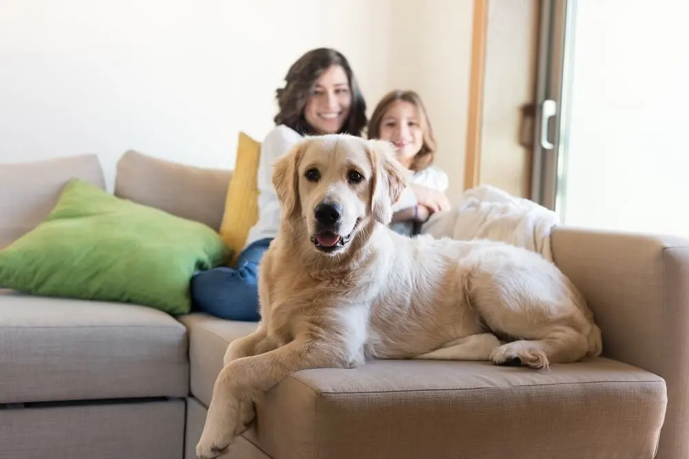 Hiring A House Cleaning Service