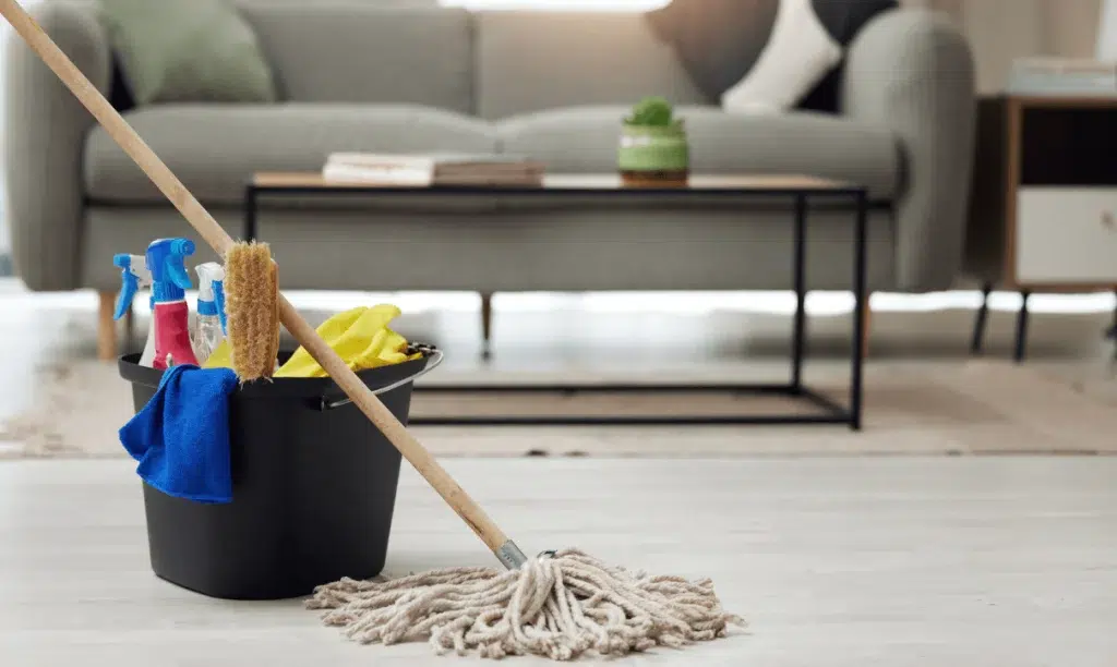 Homeowner Cleaning Tips