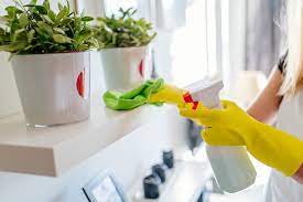 Recurring Cleaning Services Seattle