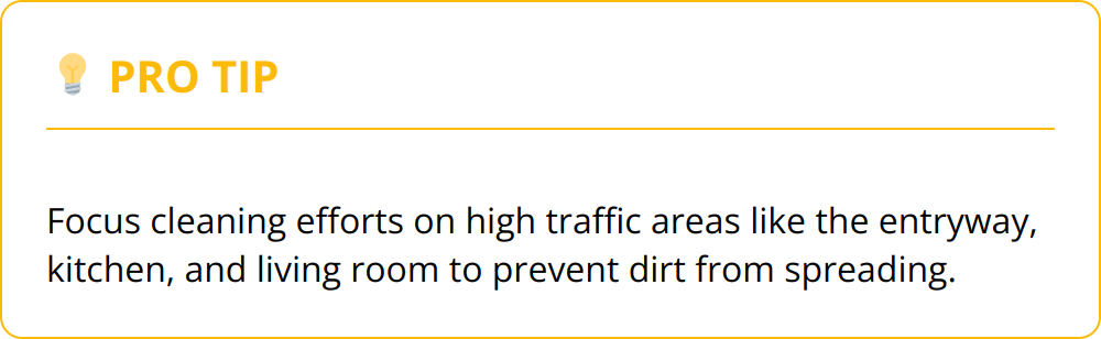 Pro Tip - Focus cleaning efforts on high traffic areas like the entryway, kitchen, and living room to prevent dirt from spreading.