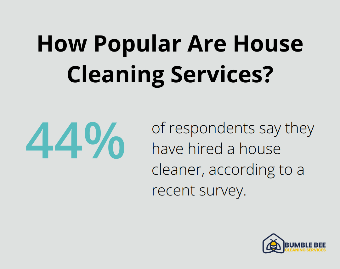 How Popular Are House Cleaning Services?