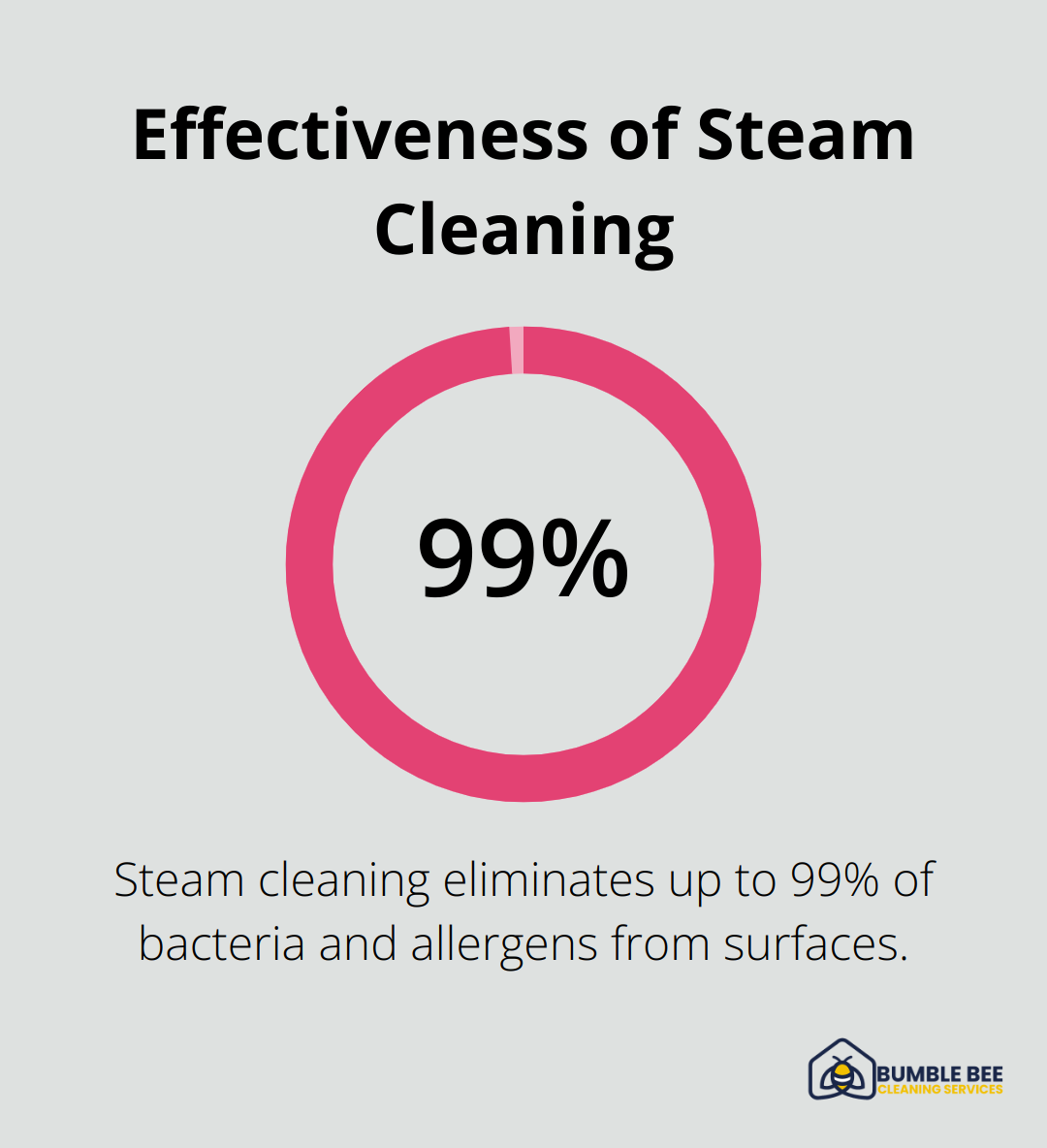Pie chart showing that steam cleaning eliminates up to 99% of bacteria and allergens - Deep clean checklist