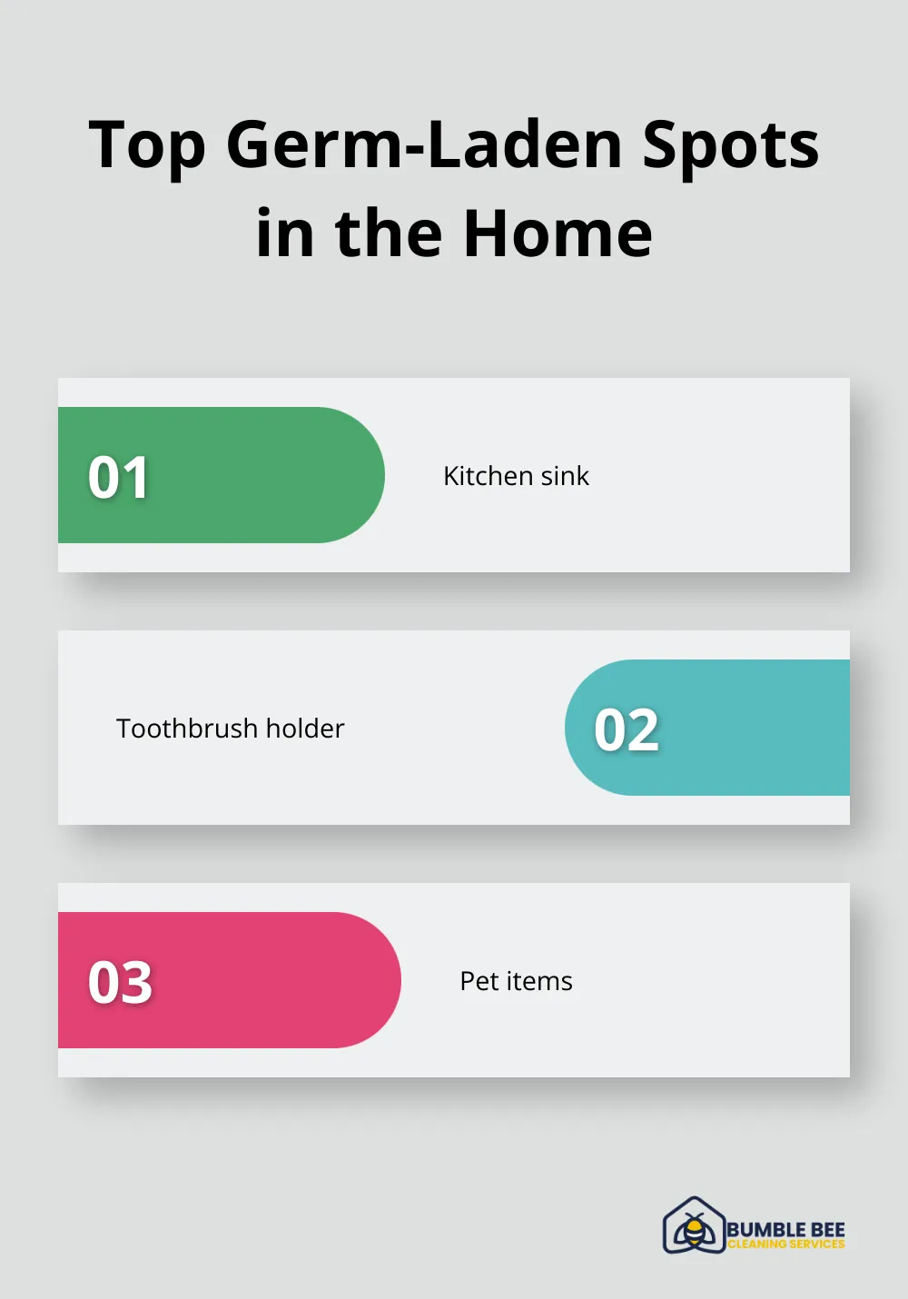 Ordered list of the most germ-laden areas in a home: kitchen sink, toothbrush holder, and pet items - Move out tips