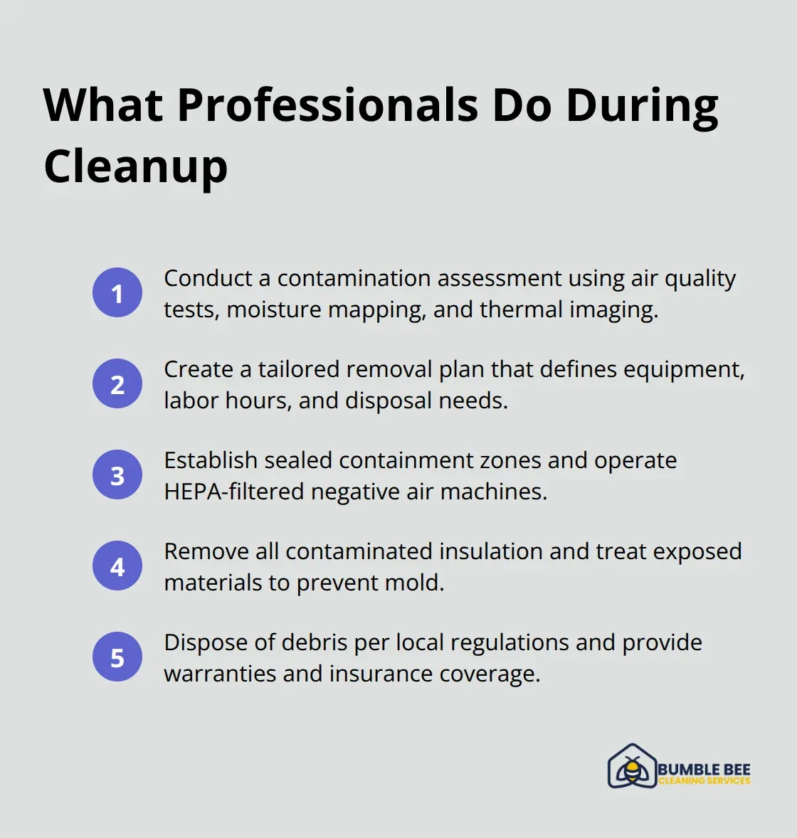 Five compact steps professionals perform during insulation debris cleanup.