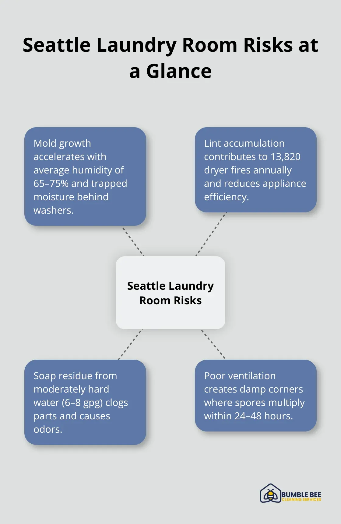 Hub-and-spoke diagram showing major Seattle laundry room risks: mold growth, lint hazards, soap residue buildup, and ventilation issues.
