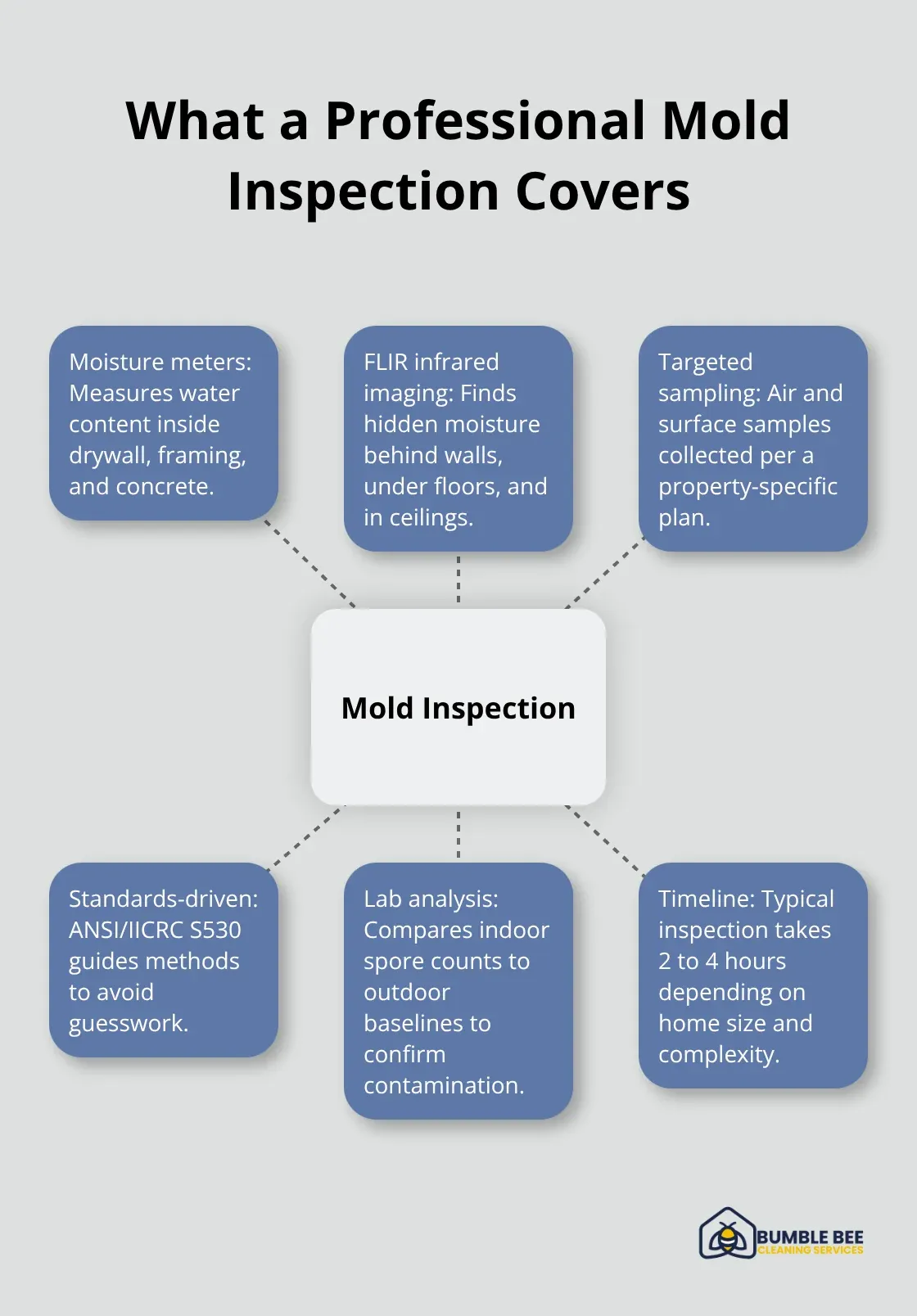 Hub-and-spoke overview of key components in a Seattle mold inspection