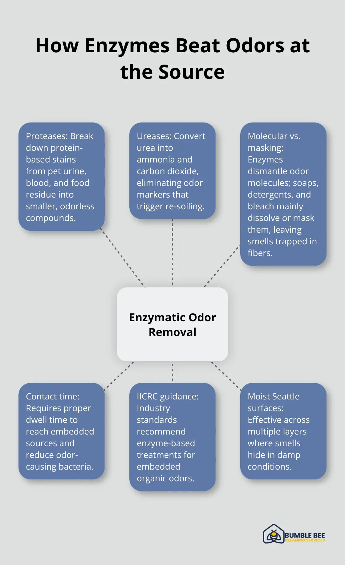 Hub-and-spoke diagram showing enzymatic odor removal compared with traditional cleaners and key effectiveness factors. - Enzymatic odors