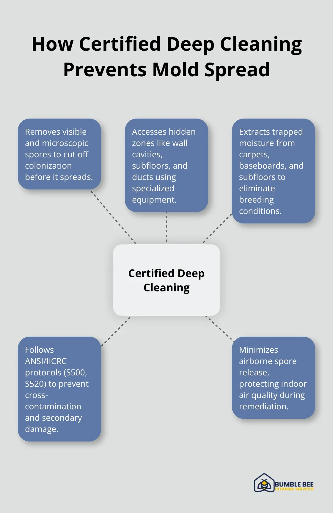 Hub-and-spoke showing key ways professional deep cleaning prevents mold and moisture damage - Grime buildup
