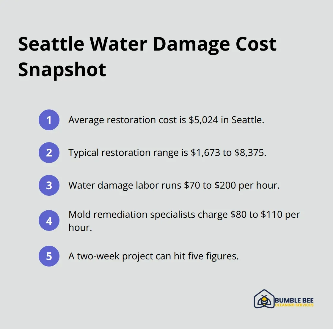 Compact list summarizing average costs and labor rates for water damage and mold remediation in Seattle - Grime buildup