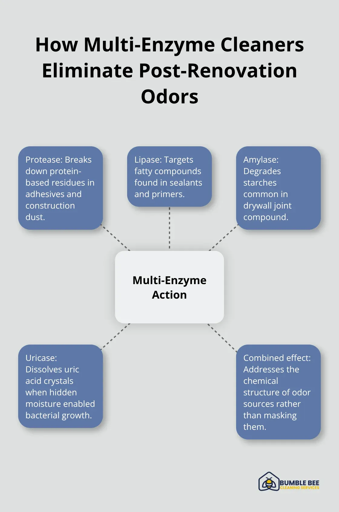 Hub-and-spoke diagram showing enzyme types and the odor sources they break down - Odor neutralization