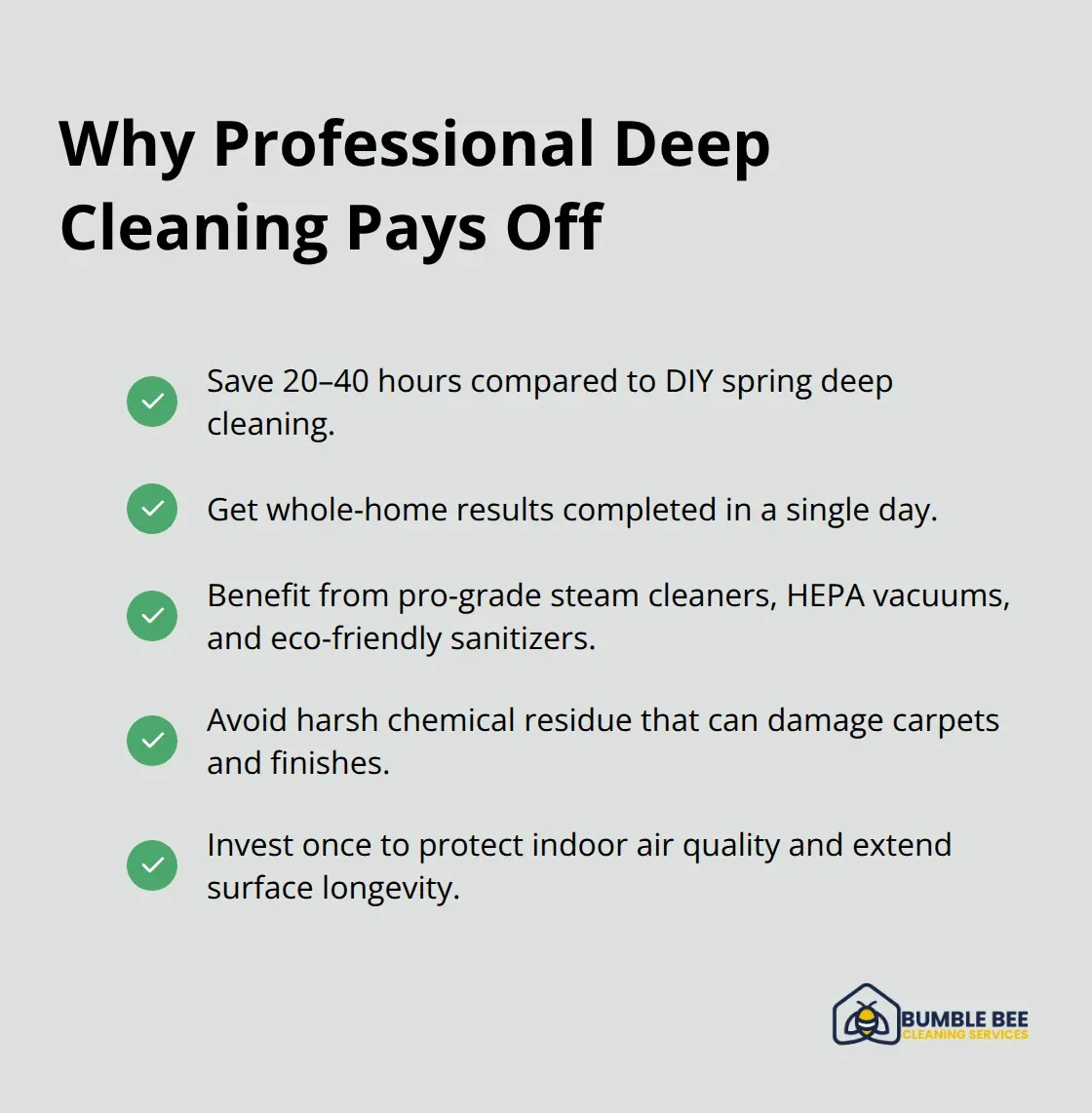 Checkmark list of time savings, single-day completion, pro equipment, and safer products from professional deep cleaning.