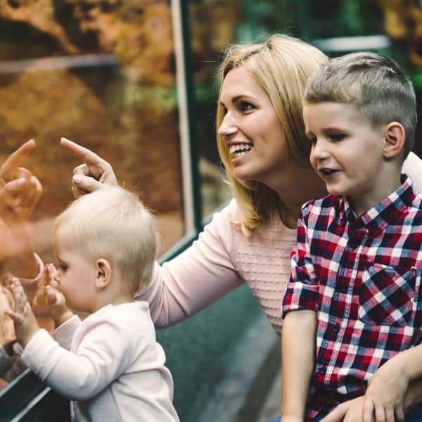 A mother and two young children looking at a glass-enclosed exhibit at a zoo.