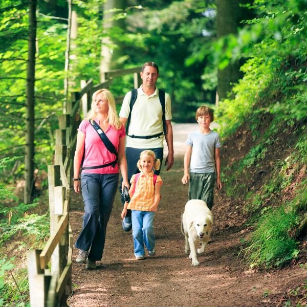 A father, mother, son, daughter, and pet dog hiking on a wooded trail.
