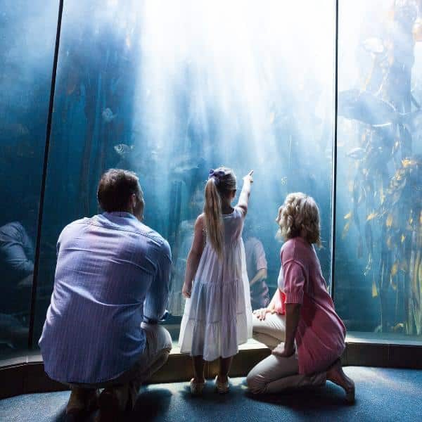 A father, mother, and young daughter looking into a large tank at an aquarium.