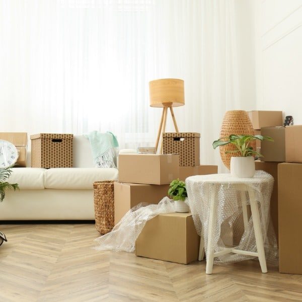 move-clean-5 move-clean-5